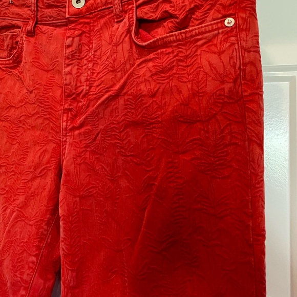 Pilcro & The Letterpress from Anthropologie Red Floral High Rise Skinny Jean- 30 - Picture 9 of 14